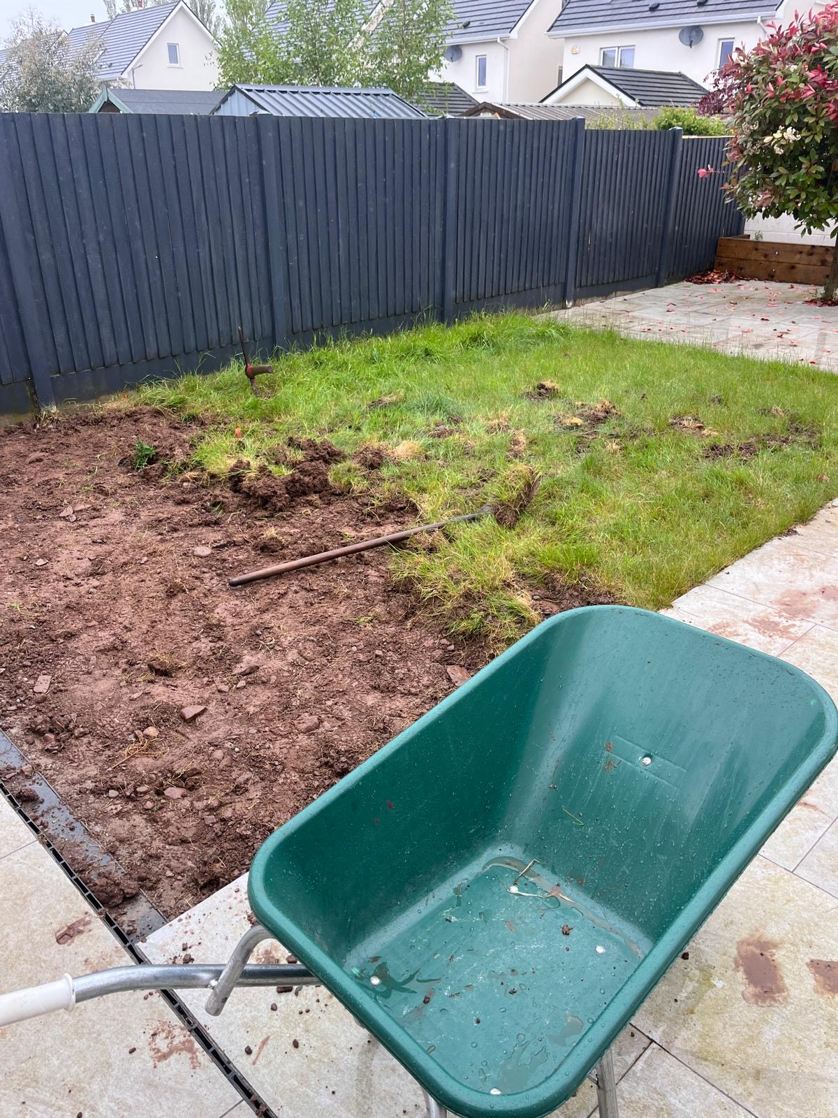Lawn renovation in progress