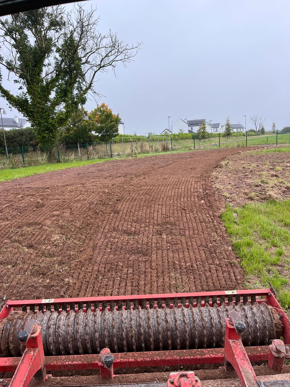 Rolling the seed bed