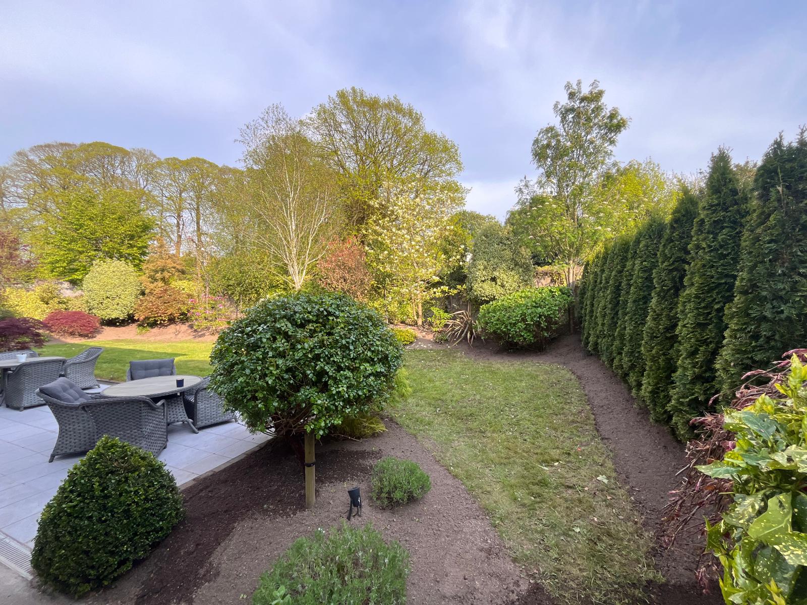Established landscaped garden in Cork with a manicured lawn, clipped topiary, mature planting and a paved patio