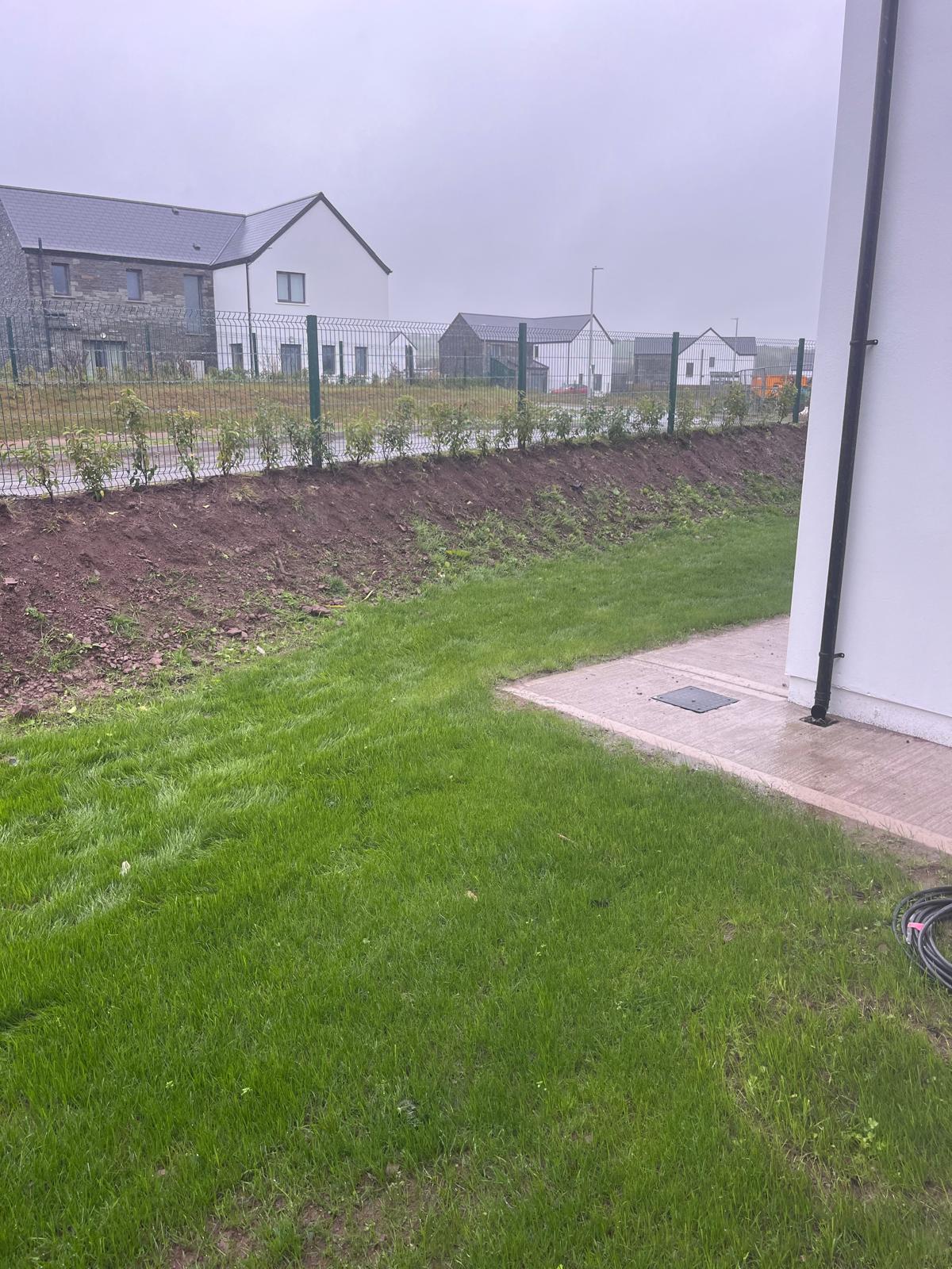 New lawn & planted bank